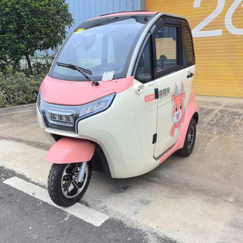 Q6 Enclosed Mobility Runner Scooter With Heater